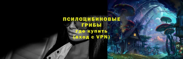 соль ск Верхний Тагил